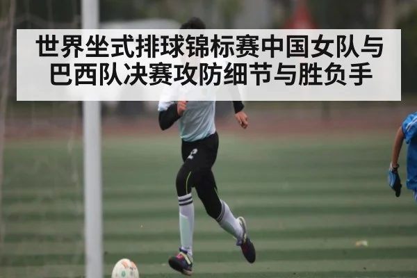 世界坐式排球锦标赛中国女队与巴西队决赛攻防细节与胜负手